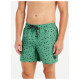 Protest Ανδρικό μαγιό Juan Swim Shorts